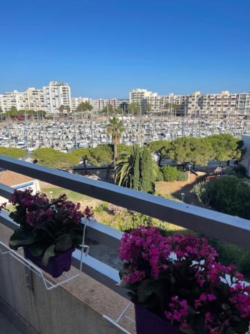 Studio Cabine Vue Mer Et Port Carnon-Plage Εξωτερικό φωτογραφία